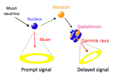 neutrino emission